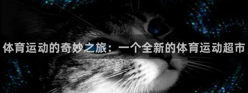 vsport体育官网下载：体育运动的奇妙之旅：一个全新的体育