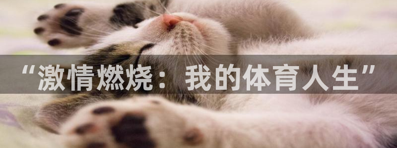 vsport体育官网下载平台注册要钱吗：“激情燃烧：
