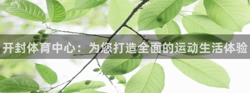 vsport体育官方正版app集团官网首页