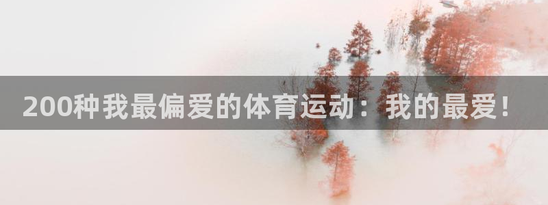 vsport体育官方正版app娱乐代理怎么样：200