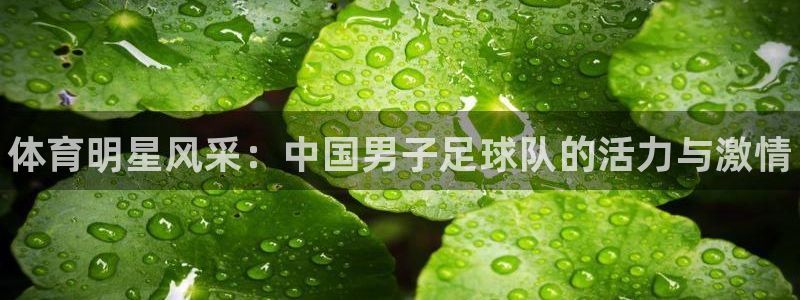 vsport体育官方正版app集团logo：体育明星