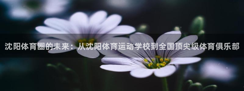 vsport体育官网下载招商电话地址是多少：沈阳体育圈的未来