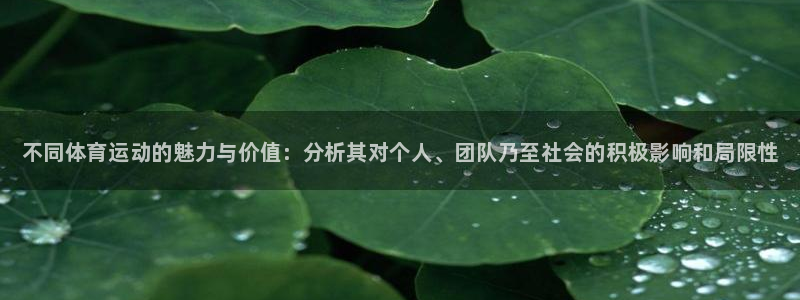 vsport体育官方正版app娱乐网站：不同体育运动的魅力与