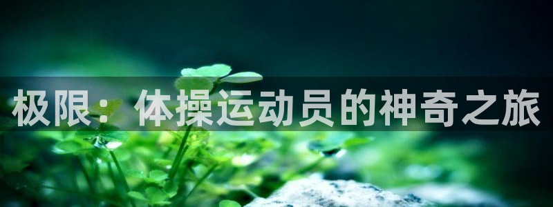 vsport体育官方正版app集团简介：极限：体操运