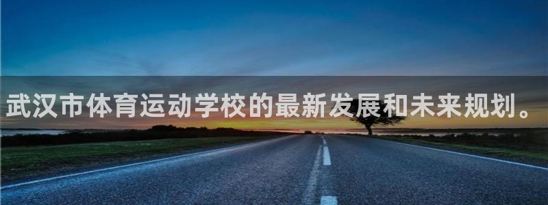 vsport体育官方正版app五金厂：武汉市体育运动学校的最
