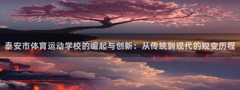 德国vsport体育官方正版app集团：泰安市体育运