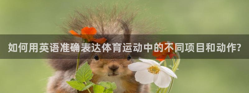 vsport体育官方平台体育：如何用英语准确表达体育