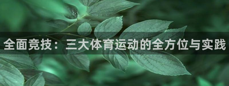 vsport体育官方平台体育：全面竞技：三大体育运动