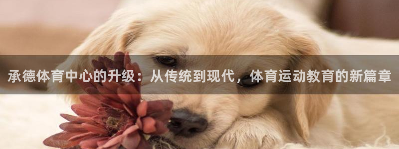 vsport体育官方正版app娱乐代理怎么样：承德体