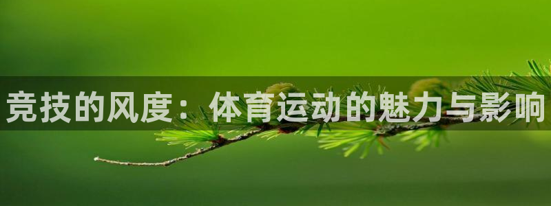 vsport体育官方正版app集团简介：竞技的风度：