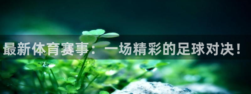vsport体育官方正版app集团简介