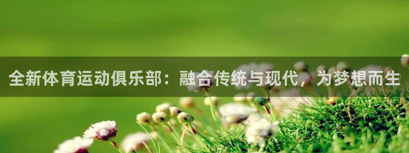 vsport体育官网下载注册：全新体育运动俱乐部：融合传统与