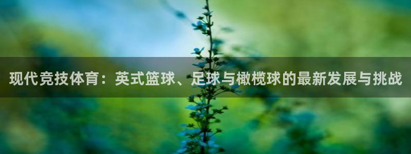 vsport体育官方正版app集团简介