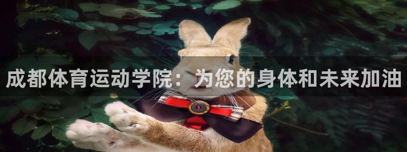 vsport体育官方正版app集团简介：成都体育运动