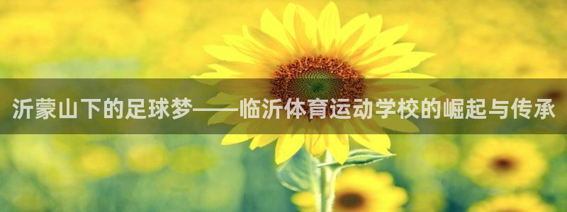 vsport体育官网下载招商电话地址查询