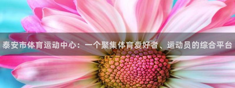 vsport体育官方正版app娱乐代理怎么样：泰安市体育运动