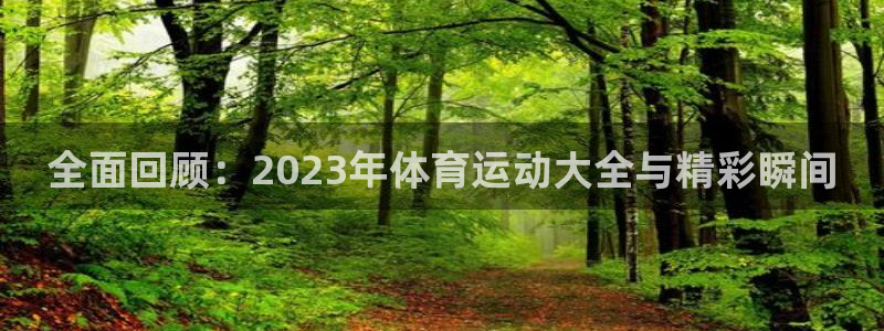vsport体育官方正版app娱乐平台：全面回顾：2023年