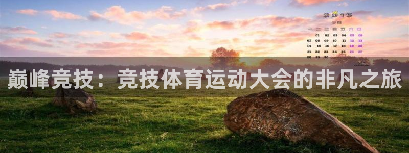 vsport体育官方正版app集团logo