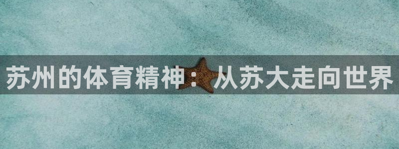 vsport体育官方正版app集团logo