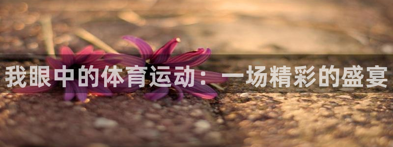 vsport体育官方正版app娱乐代理怎么样：我眼中