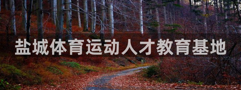 vsport体育官方正版app官方：盐城体育运动人才教育基地