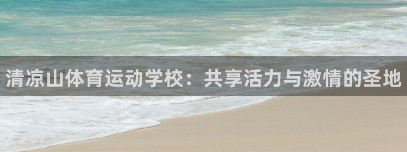 vsport体育官方正版app科技