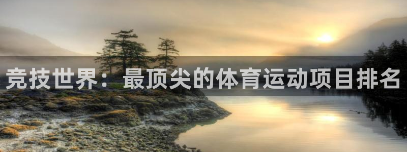 vsport体育官方正版app集团E.ON：竞技世界：最顶尖